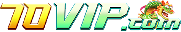 70VIP.COM